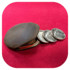 Coin Purse: Aged Brown