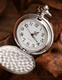 Gemini Watch