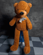 Teddy Bear Appearance (Large)
