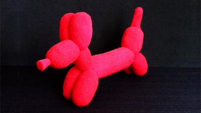 Sponge Balloon Dog by Alexander May - Trick